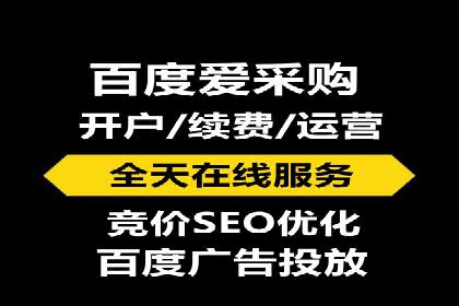 SEM托管公司案例分析：实战技巧全解析